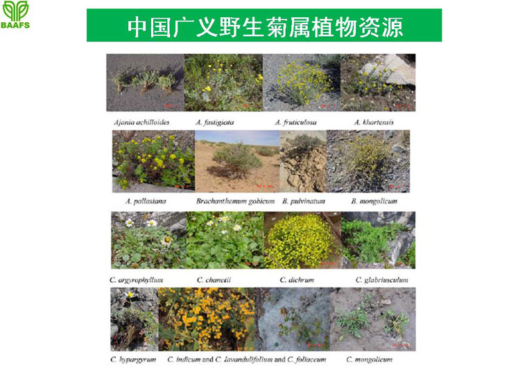 �ջ���ҵ��Ŀ