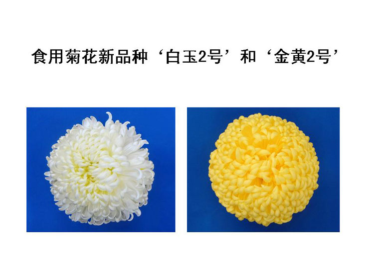 �ջ���ҵ��Ŀ