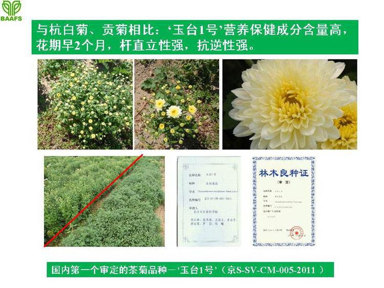 �ջ���ҵ��Ŀ