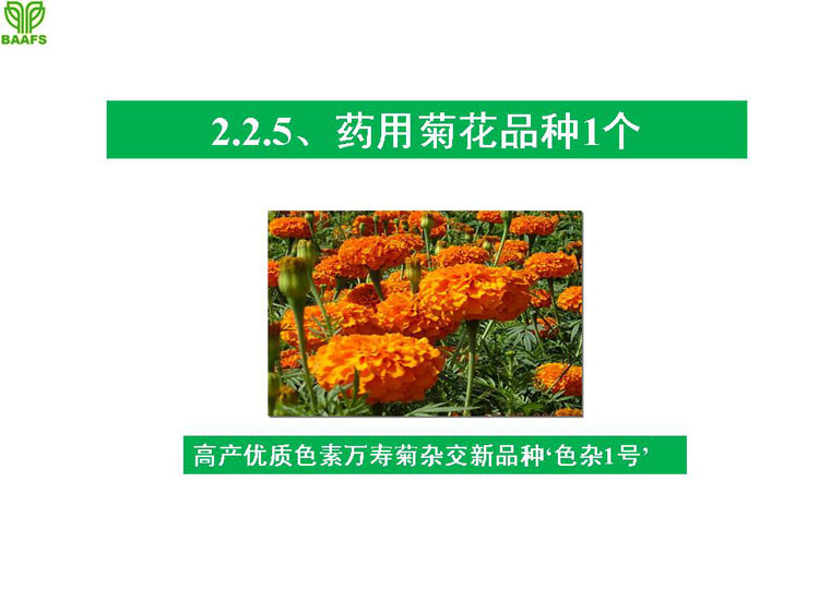 �ջ���ҵ��Ŀ