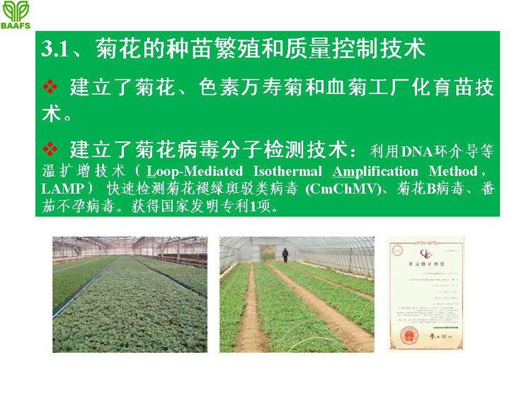 �ջ���ҵ��Ŀ