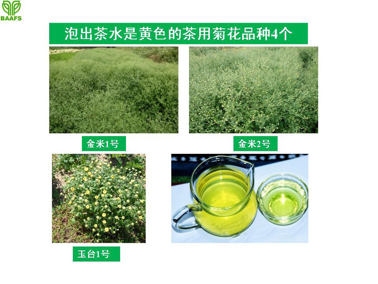 �ջ���ҵ��Ŀ