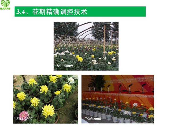 �ջ���ҵ��Ŀ