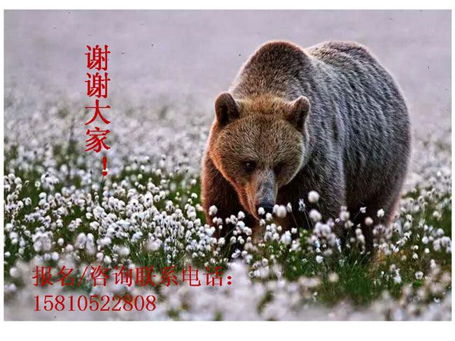 Ϊ������ҵ���ͽ�˧֮��